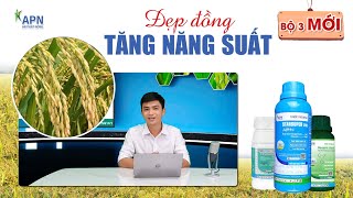 APN - CÁCH ỨNG DỤNG HIỆU QUẢ BỘ 3 MỚI AN PHÁT NÔNG | ĐẸP ĐỒNG TĂNG NĂNG SUẤT