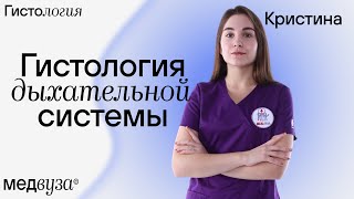 Гистология дыхательной системы | Гистология полости носа, глотки, гортани, трахеи, бронхов и альвеол