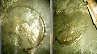 Ancient Artefacts Found in a Coal Mine in Ukraine