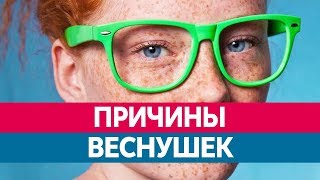 Почему ПОЯВЛЯЮТСЯ ВЕСНУШКИ?