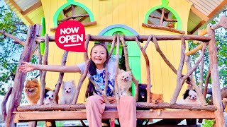 Bug opened a restaurant for Pets! | Little Big Toys