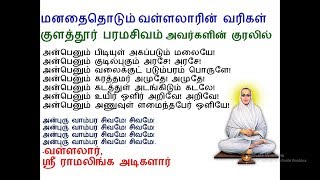 அன்பெனும் பிடியுள் அகப்படும் மலையே | வள்ளலார்| குளத்தூர் பரமசிவம் அவர்களின் குரலில்