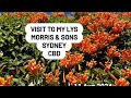 MORRIS & SONS A Tour of my Local Yarn Shop in Sydney NSW CBD Australia #localyarnshop and City Vlog