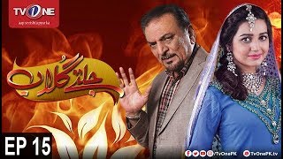 Jaltay Gulab | Episode 15 | TV One Drama | 24th November 2017