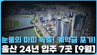 계약금 포기하고 현금 돌려주는 심각한 울산 마피 아파트!! 울산24년 입주 아파트 총정리[9월](ft. 마피속출, 입주권, 분양권, 할인분양, 미분양, 하락)