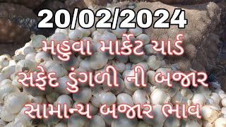 મહુવા માર્કેટ યાર્ડ || આજના ડુંગળી ના ભાવ || આજ ના ભાવ || બજાર ભાવ || gujarat market yard || today