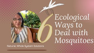 Got Mosquitoes?  6 Ecological Solutions For You and Your Community