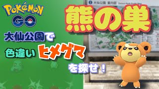 【ポケモンGO】大仙公園で色違いヒメグマを探せ！