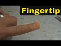 How To Put A Bandaid On A Fingertip-Easy Tutorial