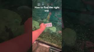 How to find the right lure at Bass Pro shop #vikramsarkar ￼