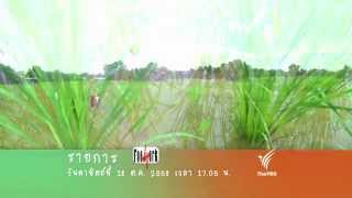 Foodwork : ข้าวฮาง ที่หมู่บ้านชาวภูไท (18 ต.ค.58)