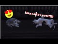 Max Cute Level!?! The Sims Story