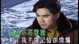 1989年 Laser Disc 雷射大碟 飛圖   喜瑪拉雅