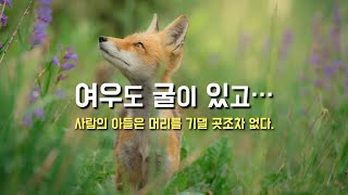 ['사람의 아들은 머리를 기댈 곳조차 없다'는 말씀의 의미] 2024년 7월 1일, 연중 제13주간 월요일 (이병근 신부) 원당동 성당