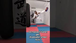 How to Do Mawashi Katie Geri (Kyokushin Wheel Kick)