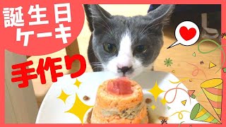 【猫の誕生日】手作りケーキとプレゼントでお祝い！喜びの涙？