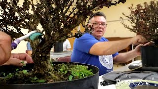 The KW Bonsai Society's Barberry Workshop, The Bonsai Zone, Aug 2023