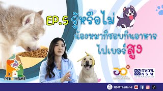 รู้หรือไม่? น้องหมาก็ชอบกินอาหารไฟเบอร์สูง | ทำไมไม่ควรให้กระต่ายกินผักหรือผลไม้สด | Pet@Home EP.05