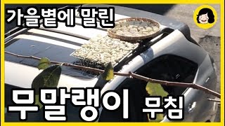 오독오독 꼬들꼬들 촉촉한 무 말랭이 무침 - 채소 말리기