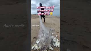 വല നിറയെ മീൻ കിട്ടിയപ്പപ്പോൾ ക്യാമറ binil lal #fishing #sea #shortvideo #beach #shorts #short #india