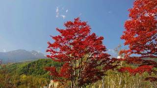 乗鞍の秋 Autumn Colors in Norikura (Shot on RED ONE)