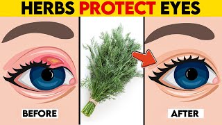 8 Herbs That Protect Eyes and Restore Vision