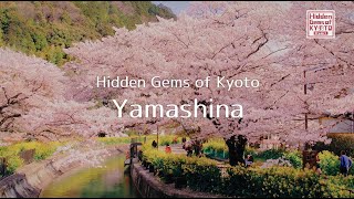 Hidden Gems of Kyoto  Yamashina