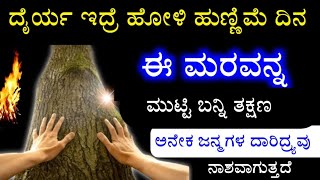 ತಾಕತ್ ಇದ್ರೆ ಹೋಳಿ ಹುಣ್ಣಿಮೆ ದಿನ ಈ ಮರವನ್ನು ಮುಟ್ಟಿ ಬನ್ನಿ ತಕ್ಷಣ ಬಡತನ ದೂರ ಆಗುತ್ತದೆ 2024 holi hunnime tips