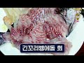 경마김기자 제주 김기자가 추천하는 제주의 숨은 맛집 공개 꼭 가보세요