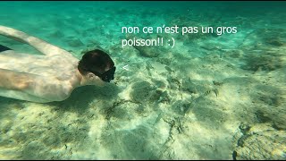 Baignade avec les poissons à Playa Pesquero Cuba 2024 #abonnevous #videoviral #PlayaPesquero