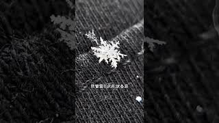 雪為什麽叫雪花？用放大鏡頭觀察雪花，真的好精致好漂亮 #下雪 #雪花 #冬季