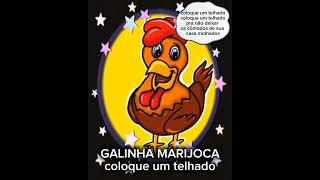 GALINHA MARIJOCA- COLOQUE UM TELHADO