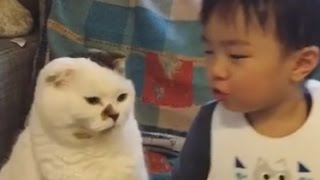 貓咪親吻 畫面超萌 Funny Cat Kiss