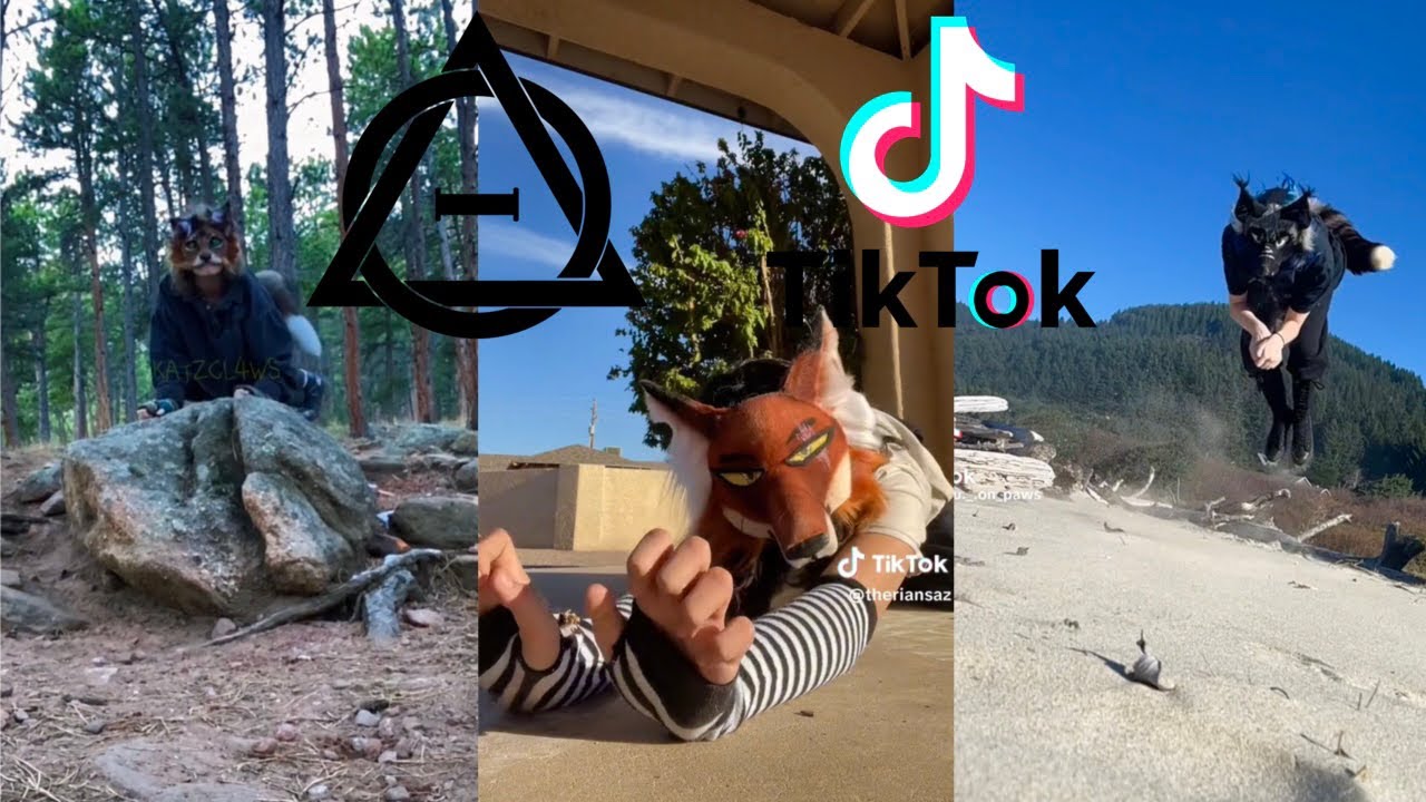 Therian And Quadrobics Tiktoks Compilation Chords Tabs