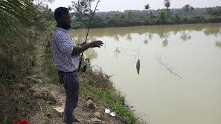 সাথি হারা বাবুর পুকুরে ১২কেজি মিনার কাপ