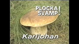 Plocka Svamp - Hela Serien (SVT 1989)