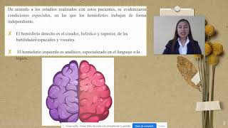 Neuromito: Dominancia hemisférica