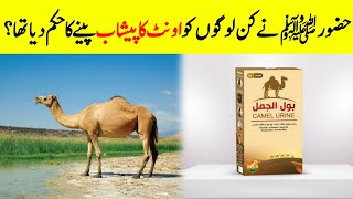 Did The Prophet (PBUH) Advise Drinking Camel's Urine? | Why Dead Camel Can Be Dangerous | INFOatADIL