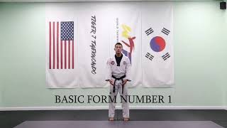 (High White Belt): Basic Form No.1_(Mirror Version)