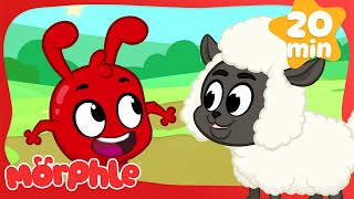 Morphle Had a Little Lamb! 🐑 | Classic Nursery Rhymes and Kids Songs | Fun Animals Singalong