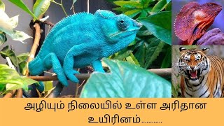 அழியும் நிலையில் உள்ள அரிதான உயிரினம்/Rare creature/2021/Tamil