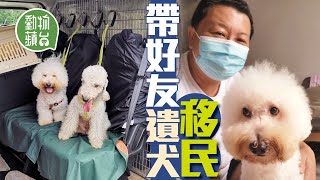 義氣台灣男為圓香港好友遺願 花4萬港紙將遺犬移民到台灣 代為照顧終老圓遺願  #動物蘋台－果籽 香港 Apple Daily—原刊日期：20201021