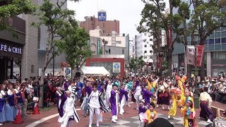 よさこい総踊り① ♪ 相模原乱舞 @ 横浜よさこい祭り (馬車道広場) 2016-05-28T12:15