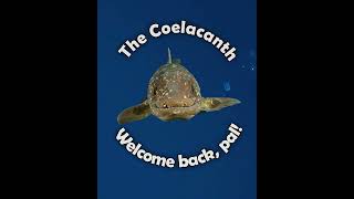 Return of the Coelacanth