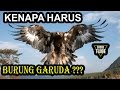 5 Fakta Garuda Pancasila