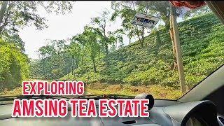 Exploring Amsing Tea Estate 🍃