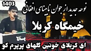 نوحه جدید افغانی1403 در کربلای معلی || ای کرلای خونین گلهای پرپرم کو