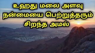 உஹது மலை அளவு நன்மையை பெற்றுத்தரும் சிறந்த அமல் || ISLAMIC LIFE 😇