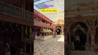 Let's Sihor #sihor #shortvideo #viralvideo #shorts #bhavnagar #travel #ipl