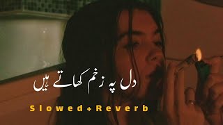Dil Py Zakhm khaty Hain | New Version Of Dil Py Zakhm khaty Hain | Slowed+Reverb | #urdu#slowed#song